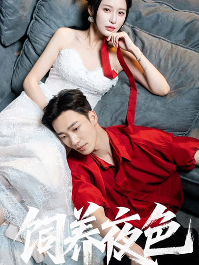 短剧《饲养夜色》 免费观看高清短剧，全集完整版在线无限制享  第1张