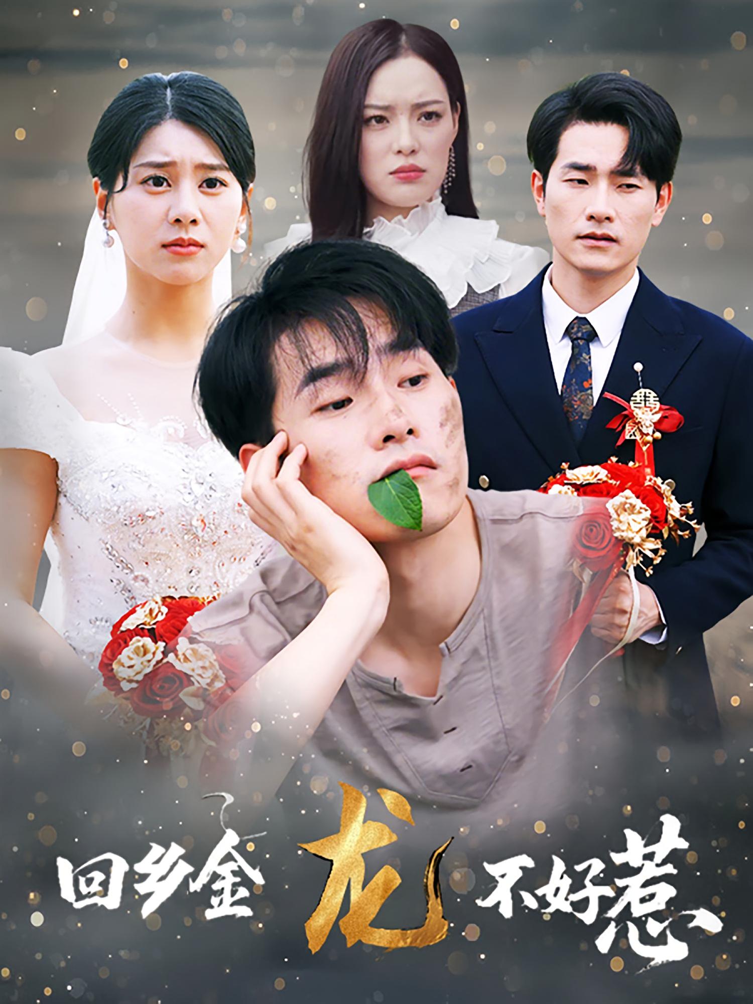 短剧《短剧《回乡金龙不好惹》 短剧全集在线，免费高清观看，大结局已完结！》 短剧全集在线，免费高清观看，大结局已完结！  第1张
