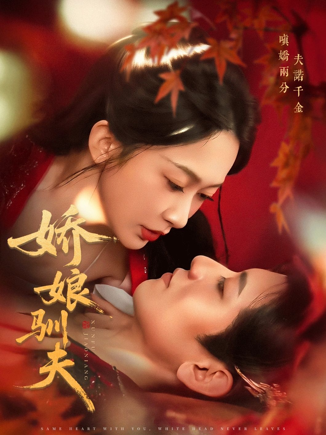 短剧娇娘驯夫超高清完整全集免费在线播放，精彩剧情随时看！  第1张