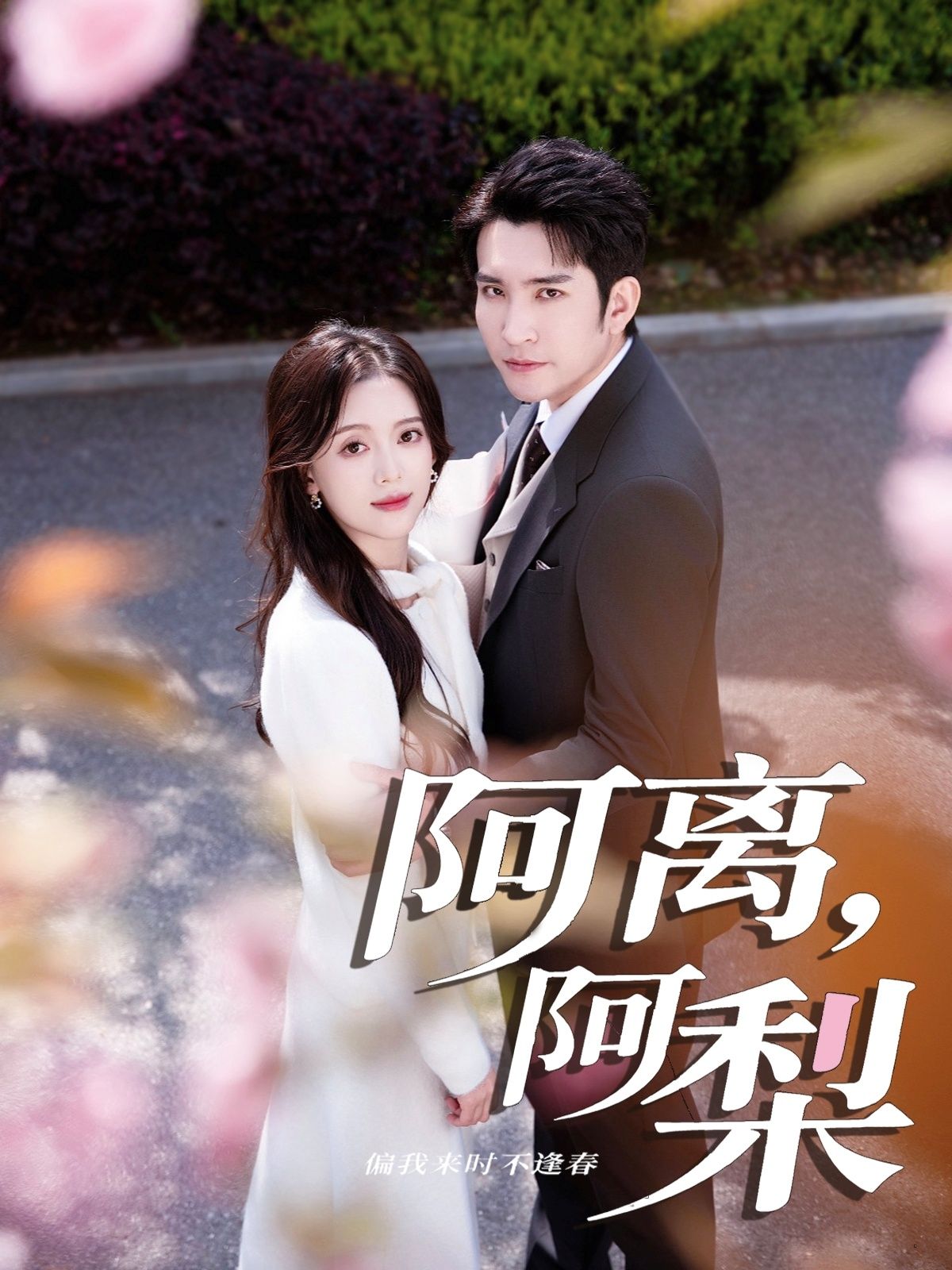 短剧阿离阿梨1080P超高清全集完整版，在线观看，高清流畅，剧情温暖治愈，全集无删减。  第1张