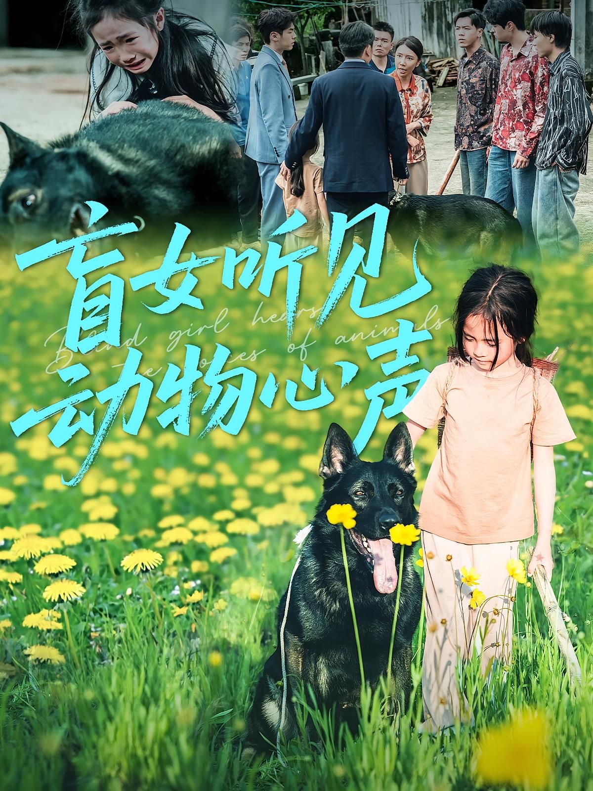 盲女意外获听懂动物心声能力，暖心奇幻故事，高清全集无删减版，在线观看，解锁治愈动物世界！  第1张