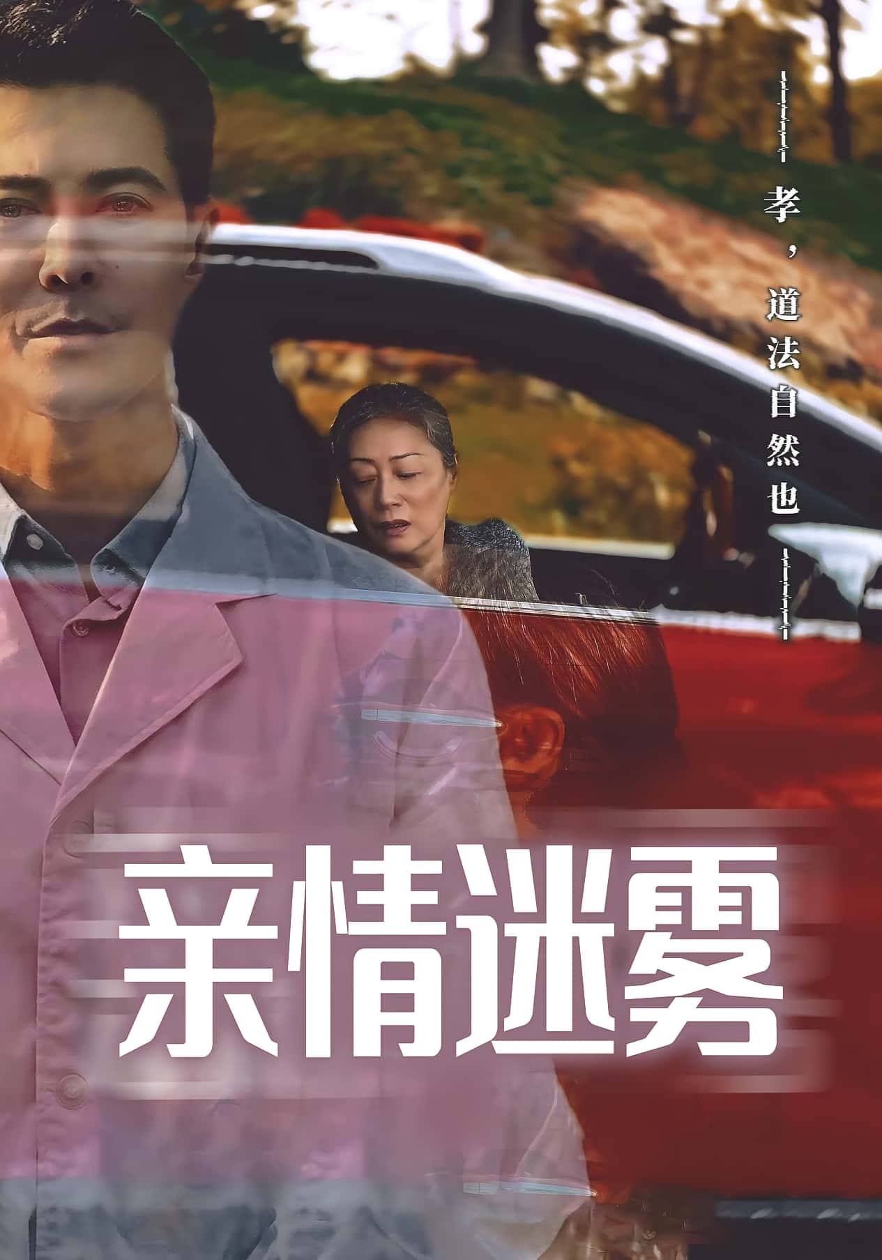 短剧《亲情迷雾》 全集免费在线，高清画质，大结局震撼揭晓