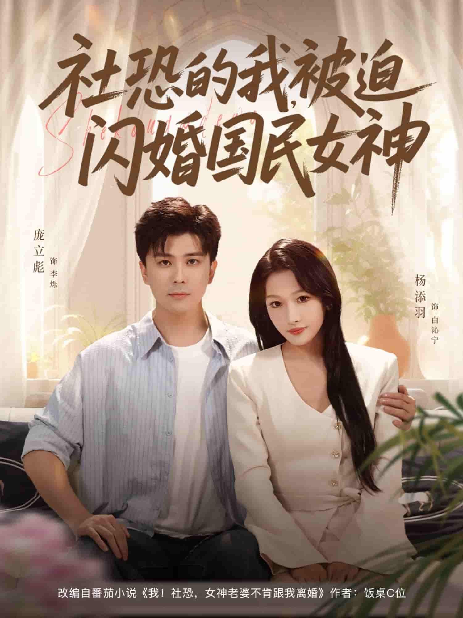 社恐男主被迫闪婚国民女神，超高清全集在线观看，无广告完整版。