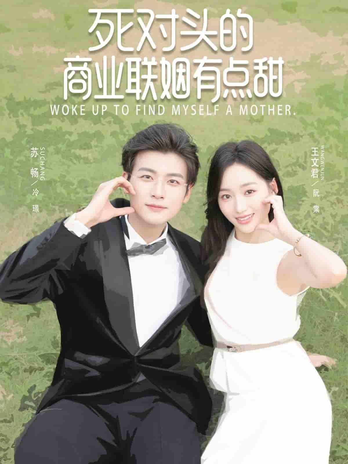 短剧死对头的商业联姻有点甜高清全集无删减版在线播放，看死对头因联姻碰撞甜蜜火花。