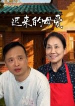 短剧迟来的母爱在线播放高清全集无删减版HD
