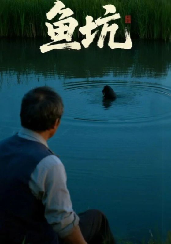 短剧鱼坑HD高清全集无删减版，在线观看精彩剧情，不容错过。  第1张