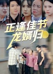 短剧正逢佳节龙婿归高清全集完整版无删减，在线播放，尽享精彩剧情。  第1张
