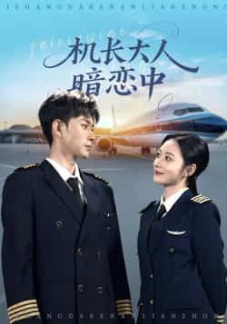 短剧 《机长大人暗恋中》 高清全集完整版在线观看 1080P  第1张