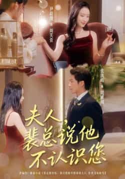 热门短剧《夫人裴总说他不认识您（75集）张淇皓，尹晨攒》 全集完整版免费在线观看播放未删减版资源，短剧百度网盘夸克网盘免费资源分享下载  第1张