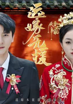 远嫁无援（50集）洛棋、王炎主演，全集完整版免费在线播放未删减，百度网盘夸克网盘资源分享下载。  第1张
