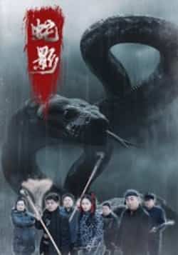 热门短剧蛇影（25集）刘灵、闫一英主演，全集完整版未删减，免费在线观看，百度网盘、夸克网盘资源下载分享。  第1张
