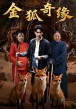 热门短剧《金狐奇缘》 全集完整版免费无水印在线观看播放未删减版资源,短剧百度网盘夸克网盘免费资源分享下载  第1张 热门短剧《金狐奇缘》 全集完整版免费无水印在线观看播放未删减版资源,短剧百度网盘夸克网盘免费资源分享下载  第1张