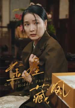 热门短剧金屋藏凤最新全集完整版免费在线观看，未删减版百度网盘、夸克网盘资源分享下载。  第1张