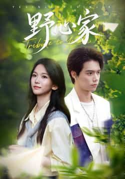 热门短剧野心家全集完整版免费无水印在线观看，未删减版资源，百度夸克网盘免费分享下载。