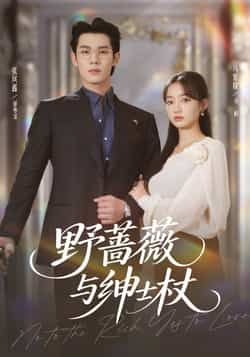 野蔷薇与绅士杖全集完整版未删减,免费无卡顿在线观看,百度网盘、夸克网盘免费资源分享下载。