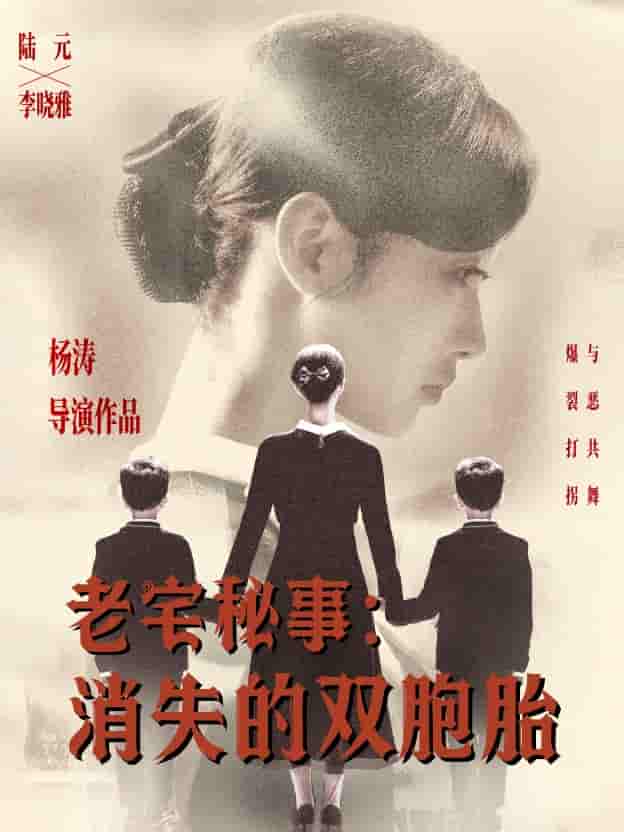 短剧《老宅秘事消失的双胞胎＆消失的孩子》 高清短剧全集免费，完整版在线观看无束缚