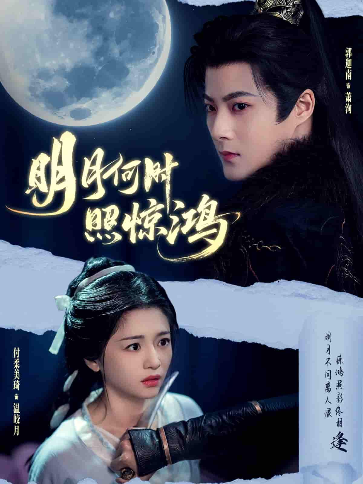 短剧《明月何时照惊鸿》 免费观看高清全集，大结局震撼来袭  第1张