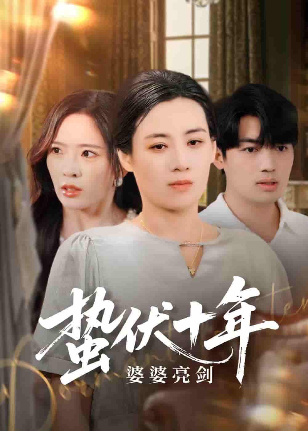 短剧《蛰伏十年婆婆亮剑》 短剧全集免费看，高清在线播放，大结局震撼揭晓  第1张