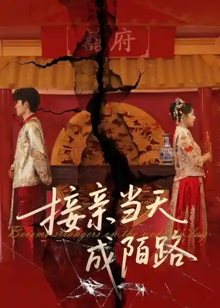 短剧《接亲当天成陌路》 免费观看高清全集，大结局震撼来袭  第1张