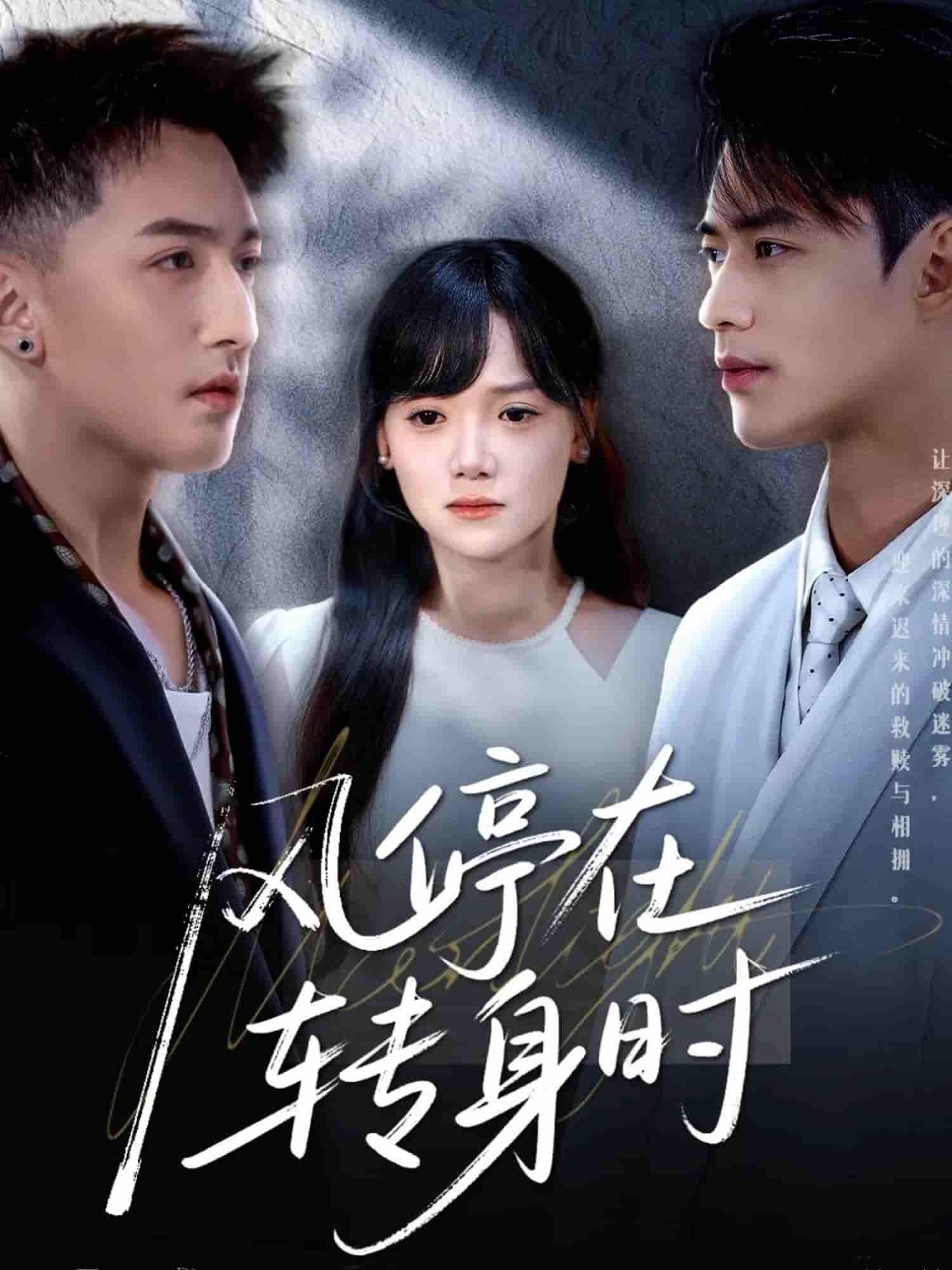短剧《风停在转身时》 高清全集！免费在线观看，大结局已完结  第1张
