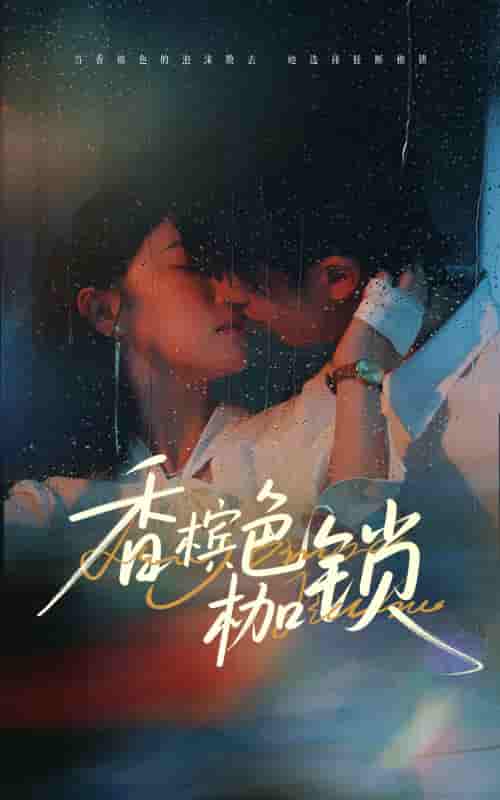 短剧《香槟色枷锁》 免费观看高清全集，大结局震撼来袭  第1张