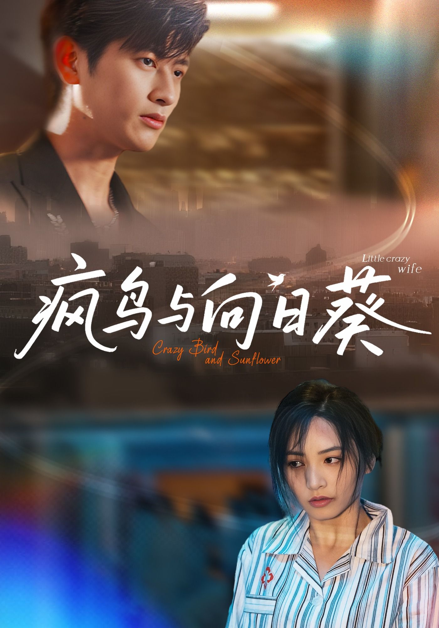短剧疯鸟与向日葵超高清全集完整版免费在线播放，高清画质无删减，全集完整版，精彩剧情在线观看，不容错过！