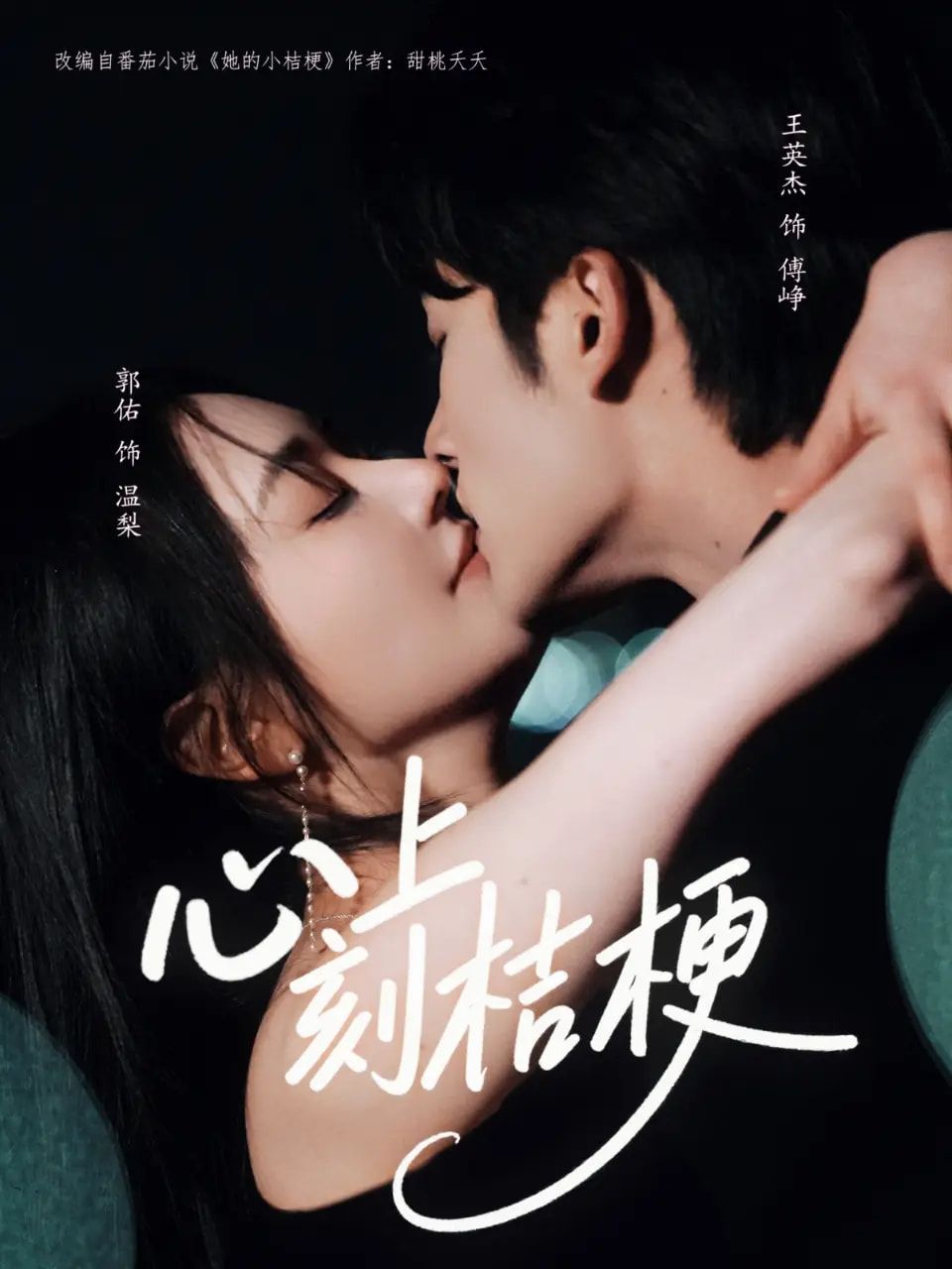 短剧 《心上刻桔梗》 免费超高清全集在线观看完整版