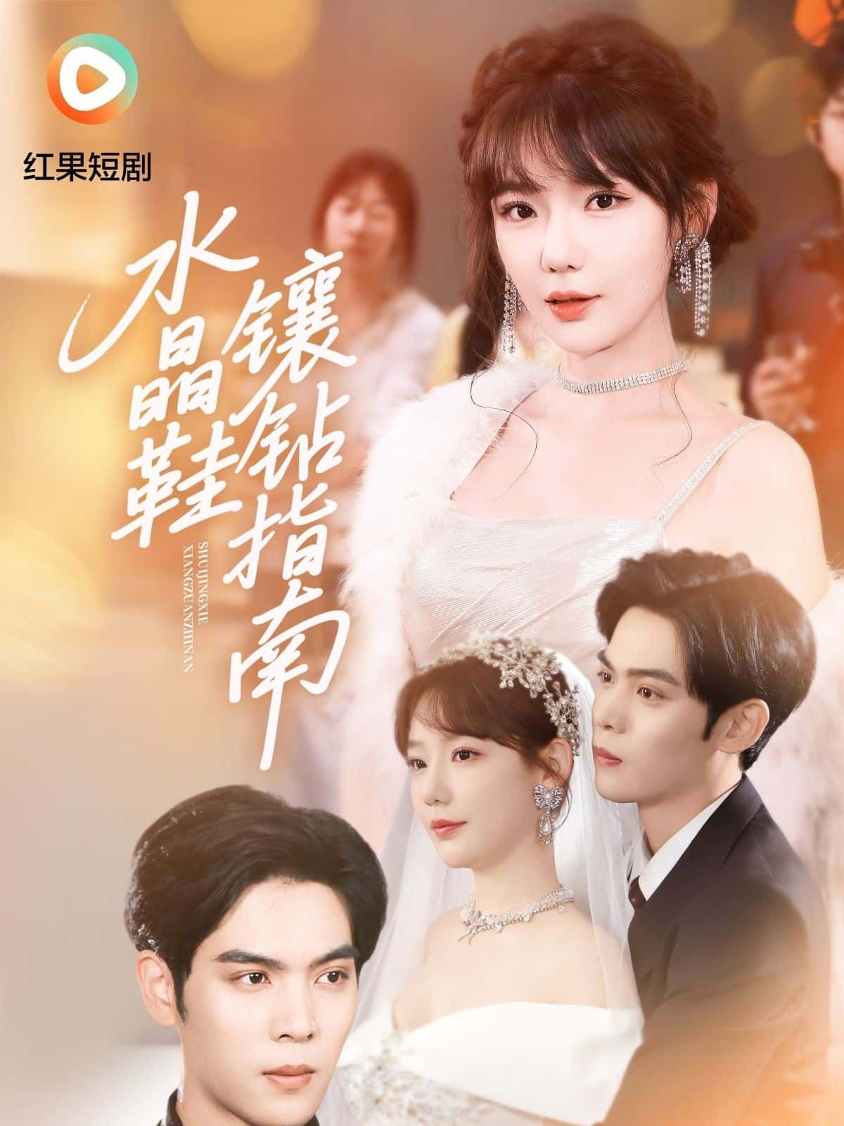 短剧水晶鞋镶钻指南高清完整全集无删减版在线看  第1张