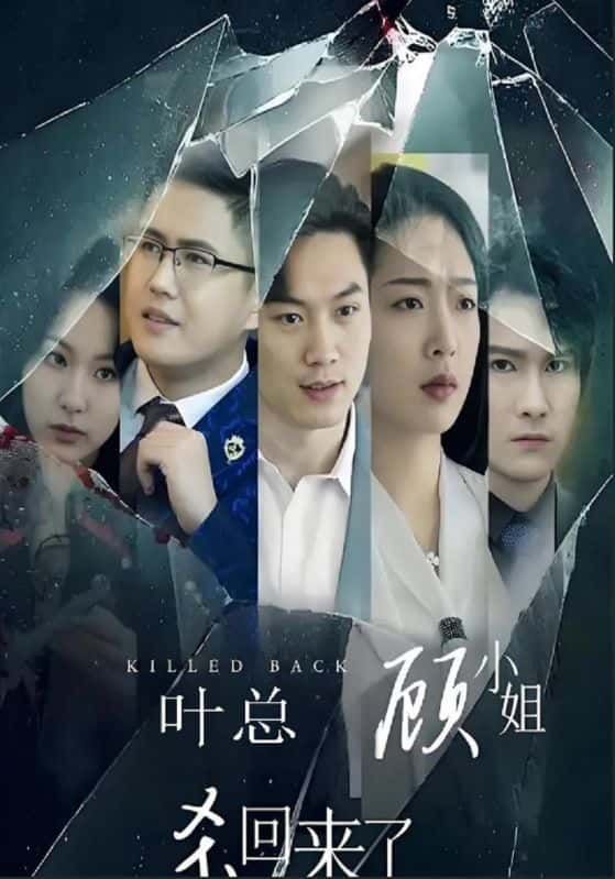 短剧叶总顾小姐杀回来了强势回归！高清无删减全集，在线观看完整版，爽不停～  第1张