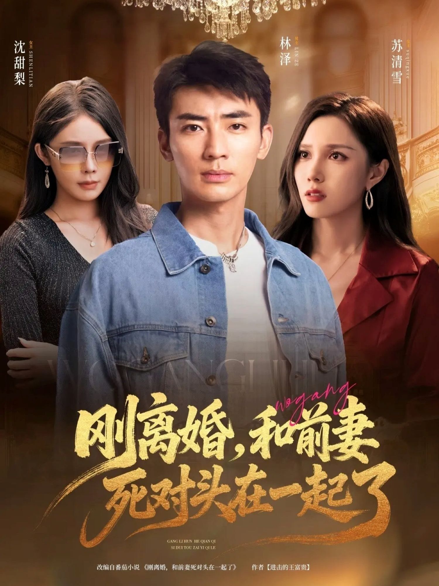 短剧刚离婚和前妻死对头在一起在线观看，1080P高清完整全集。  第1张