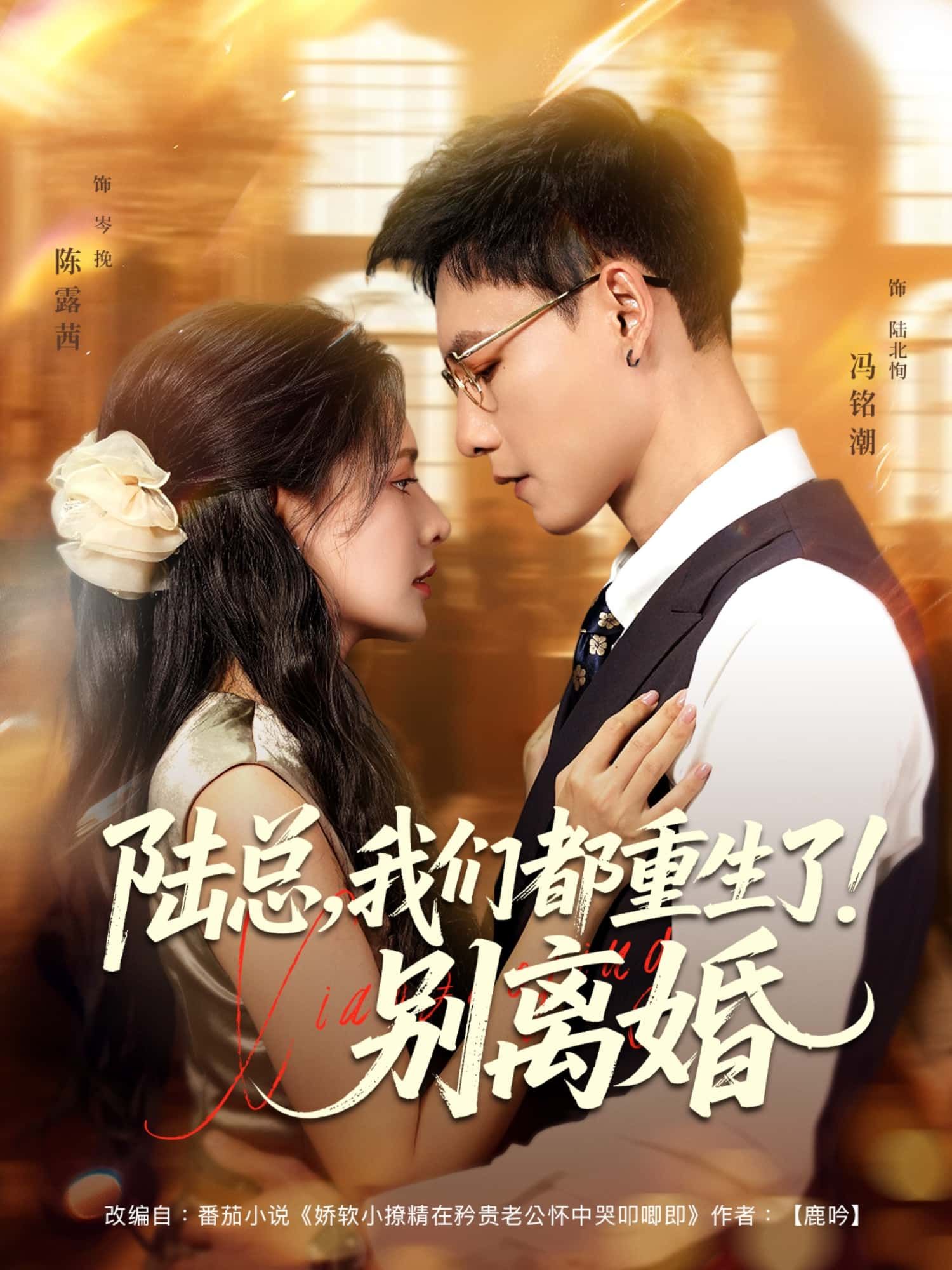陆总，我们都重生了！别离婚重生归来，她携记忆追爱，他携悔意挽回，在线播放高清完整全集无删减版。