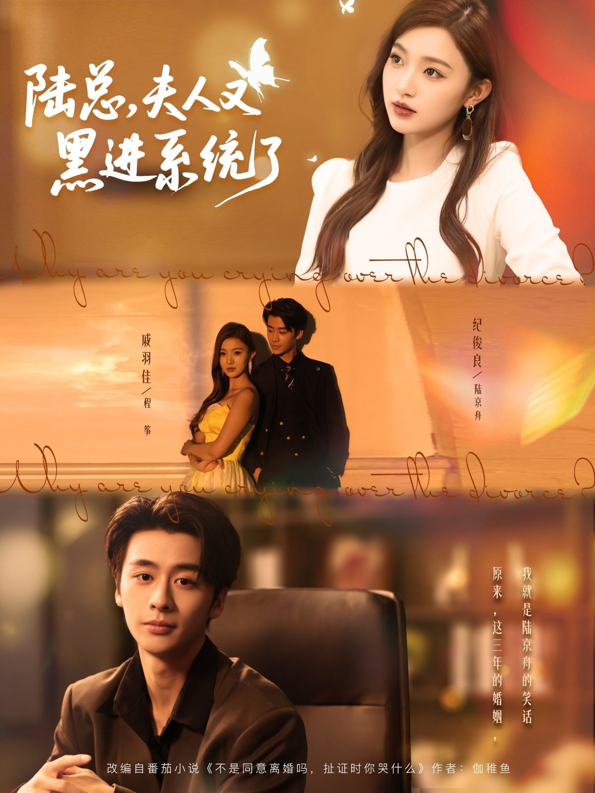 短剧陆总夫人又黑进系统了HD超高清全集完整版在线观看1080P