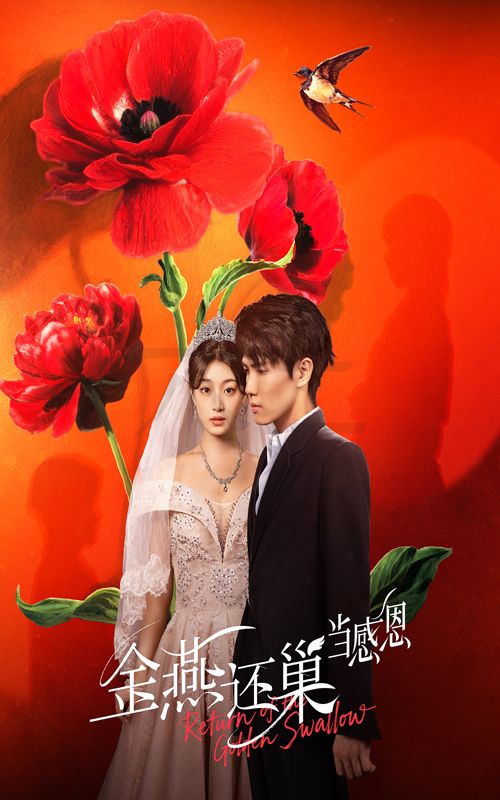 短剧 《金燕还巢当感恩》 高清完整全集免费在线观看无广告，金燕还巢当感恩高清全集免费看  第1张