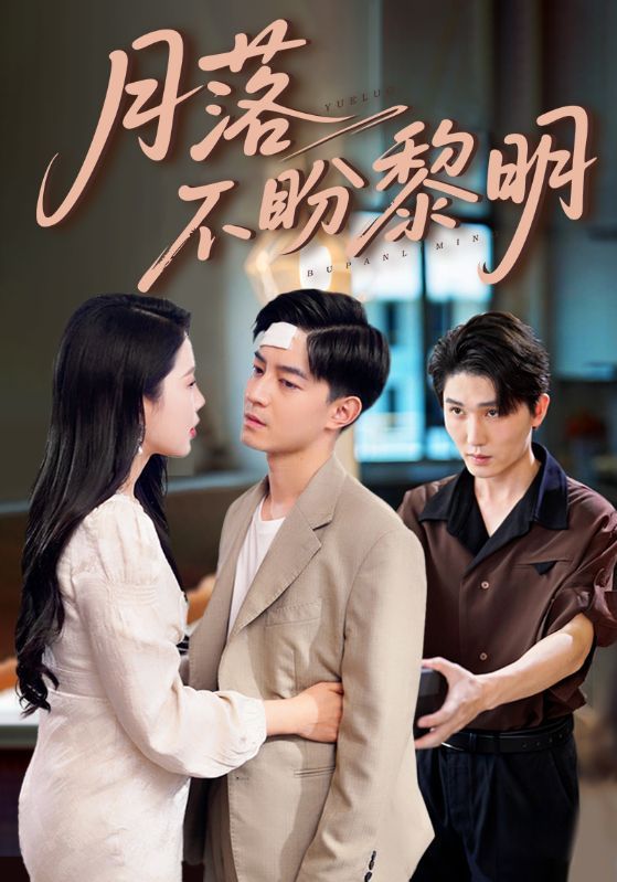 短剧 《月落不盼黎明》 高清全集完整版在线观看无广告  第1张
