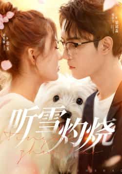 热门短剧《听雪灼烧（68集）希尔力，刘美娜》 全集完整版免费播放在线观看未删减版资源，短剧百度网盘夸克网盘免费资源分享下载  第1张