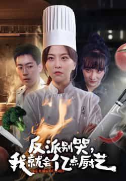 热门短剧反派别哭,我就会亿点厨艺全集更新完毕,免费在线看未删减版,百度夸克网盘免费资源分享下载。