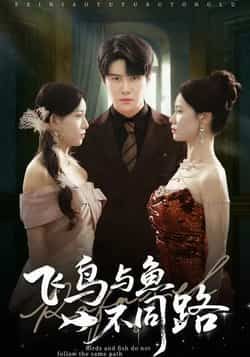 飞鸟与鱼不同路全集完整未删减版，免费无卡顿在线观看，百度网盘、夸克网盘资源分享下载。