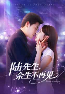 热门短剧陆先生，余生不再见全集完整版高清未删减，百度网盘、夸克网盘免费资源分享下载，在线观看。