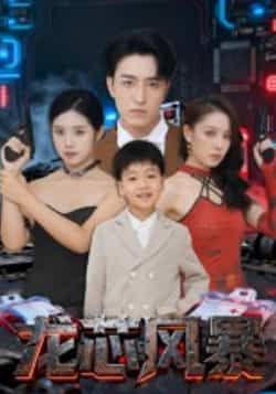 热门短剧《龙芯风暴》 全集完整版免费在线观看播放未删减版资源，短剧百度网盘夸克网盘资源免费分享下载