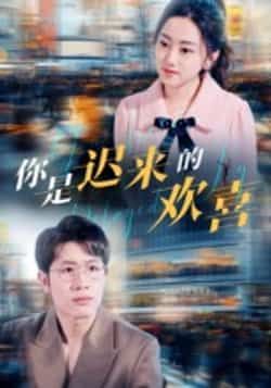 热门短剧你是迟来的欢喜全集完整版更新，免费在线观看未删减，百度夸克网盘资源分享下载。  第1张